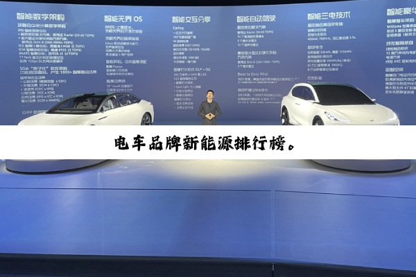 电车品牌新能源排行榜。